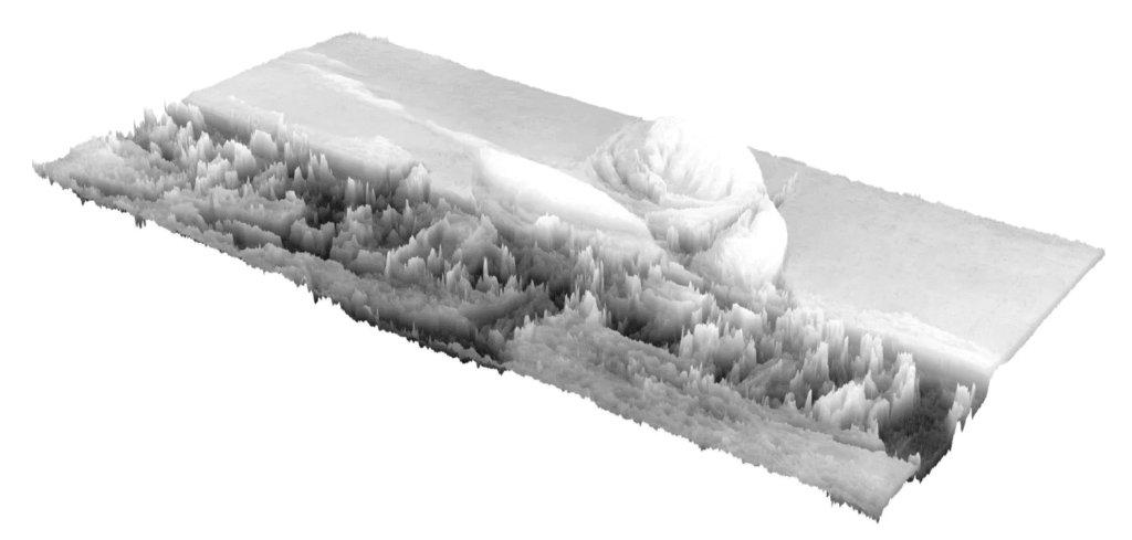 The_Role_of_Humans_1