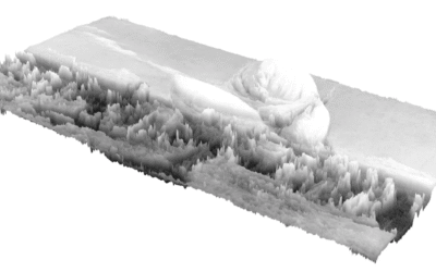 The Role of Humans and AI in Data Analysis, an Unexplored Coexistence