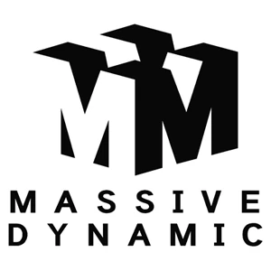 Massive Dynamic
